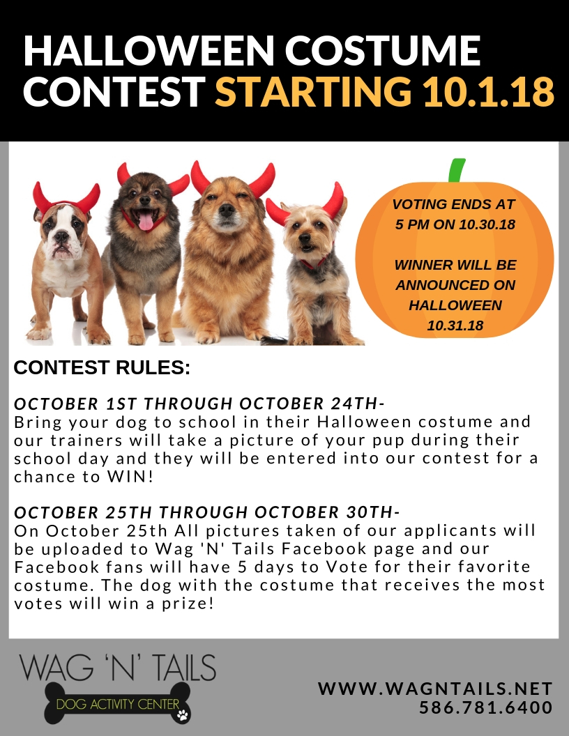 Halloween Costume Contest at Wag 'N' Tails