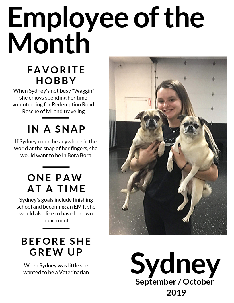 dog of the month