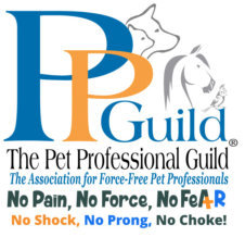 PPG_Logo_with_tag_lines_small_(1)
