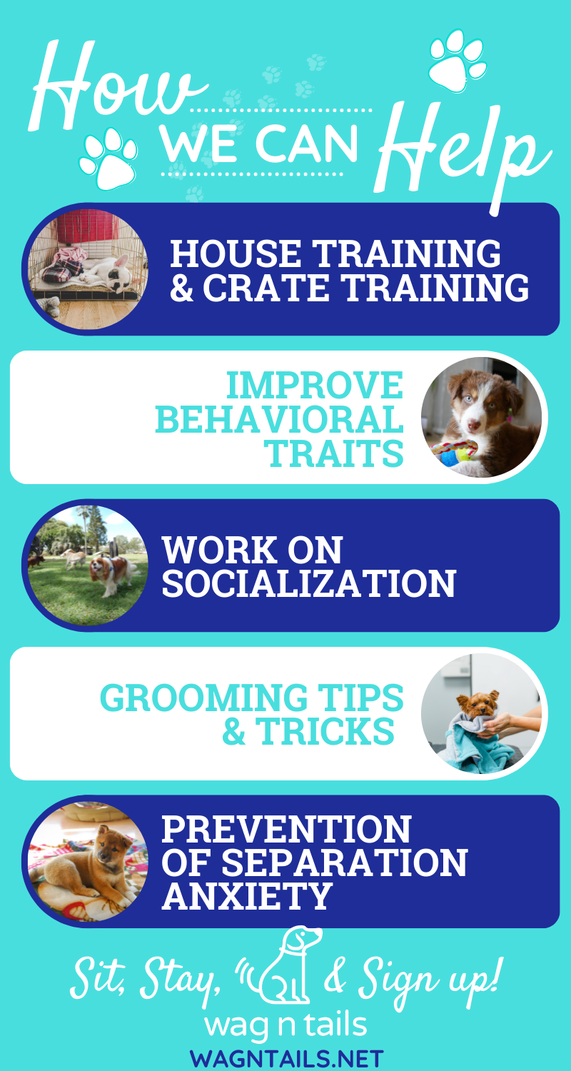 https://wagntails.net/wp-content/uploads/2022/06/M36293-Wag-N-Tail-Online-Dog-Training-Courses-for-New-Puppies-Infographic.png