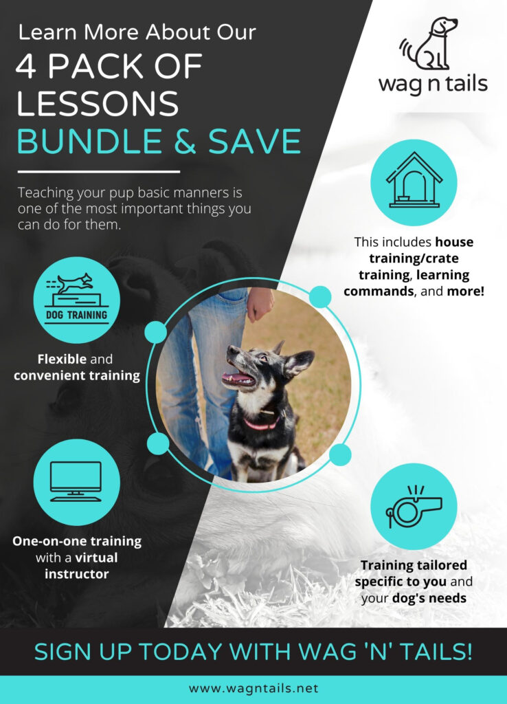 Learn More About Our 4 Pack of Lessons Bundle & Save - Infographic