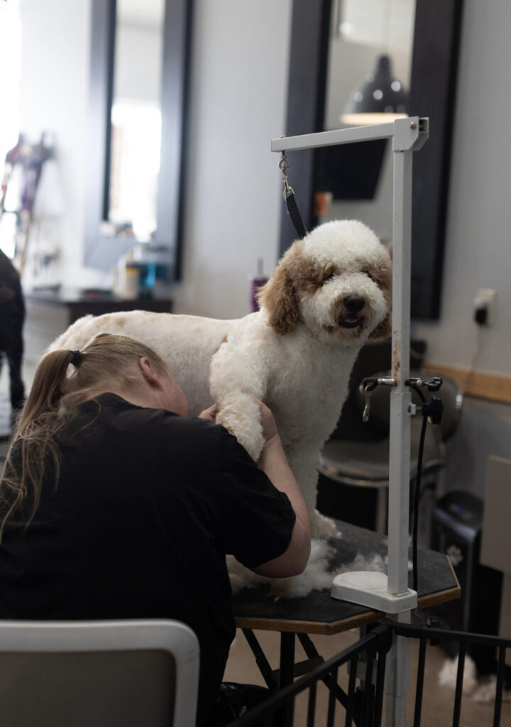 Dog Grooming