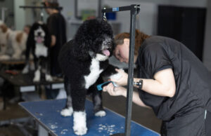 Wagntails.net dog grooming