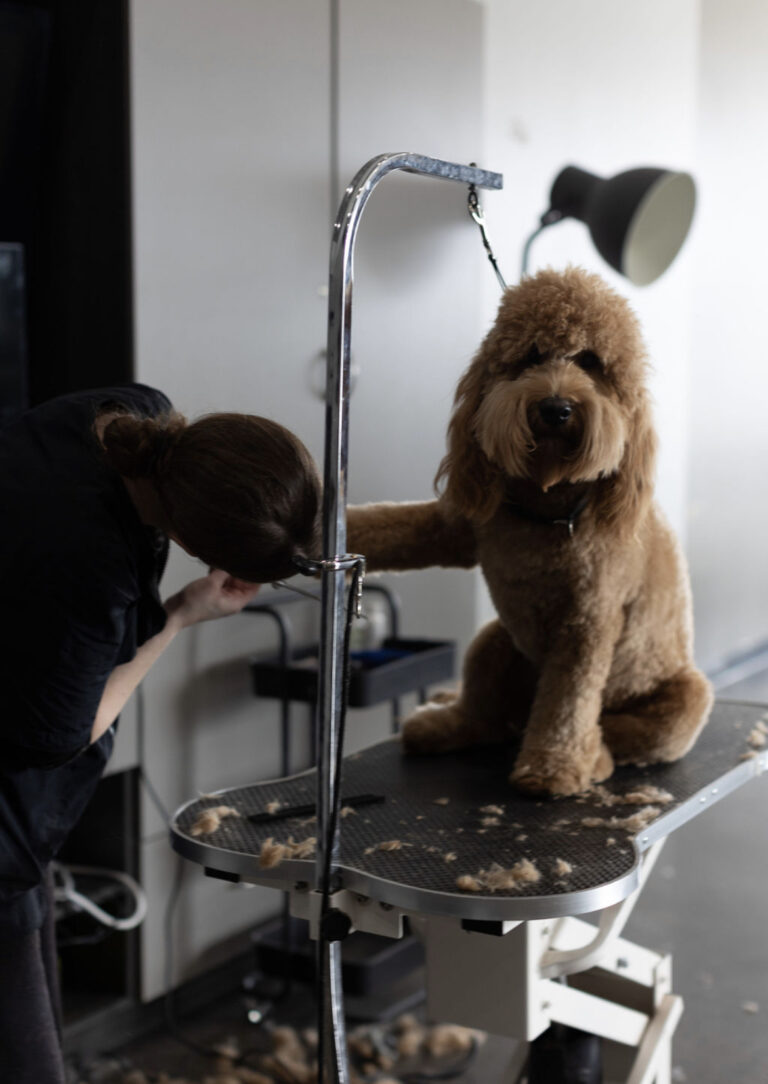 Dog Grooming Wag n Tails