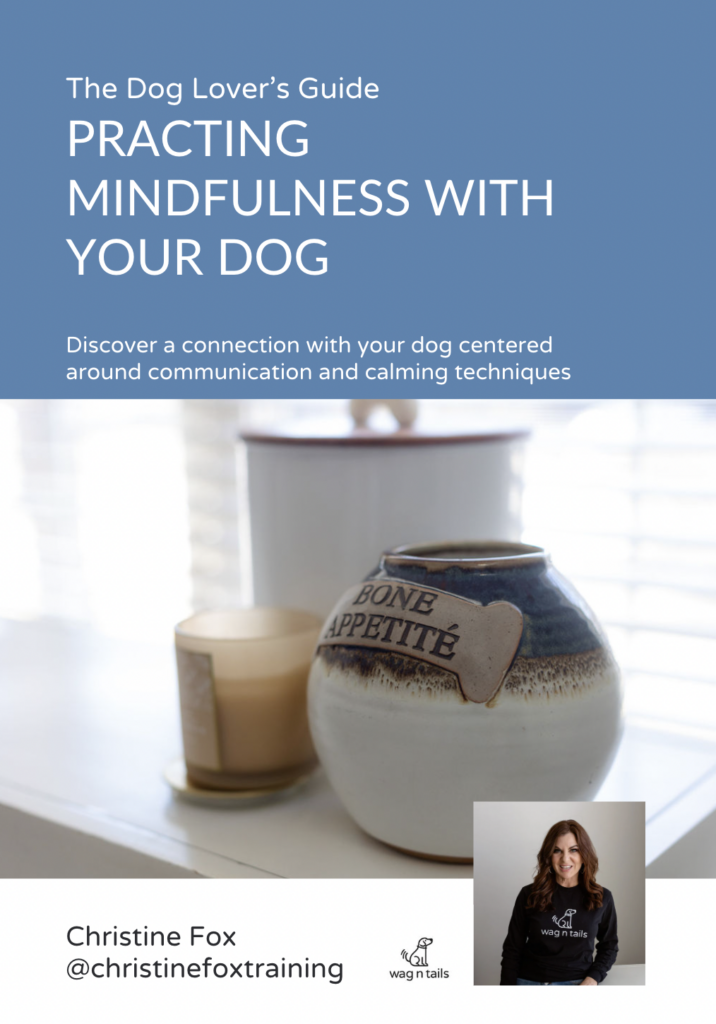 Mindfulness and dog training