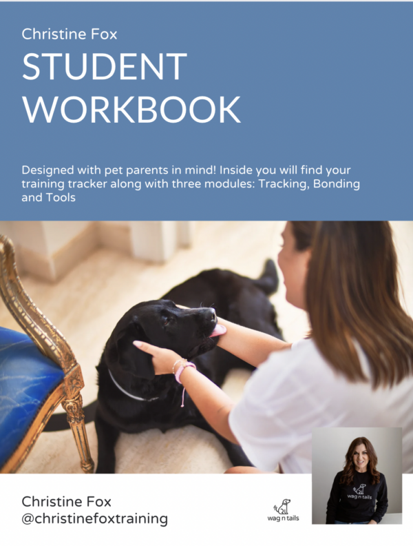 The Student Workbook