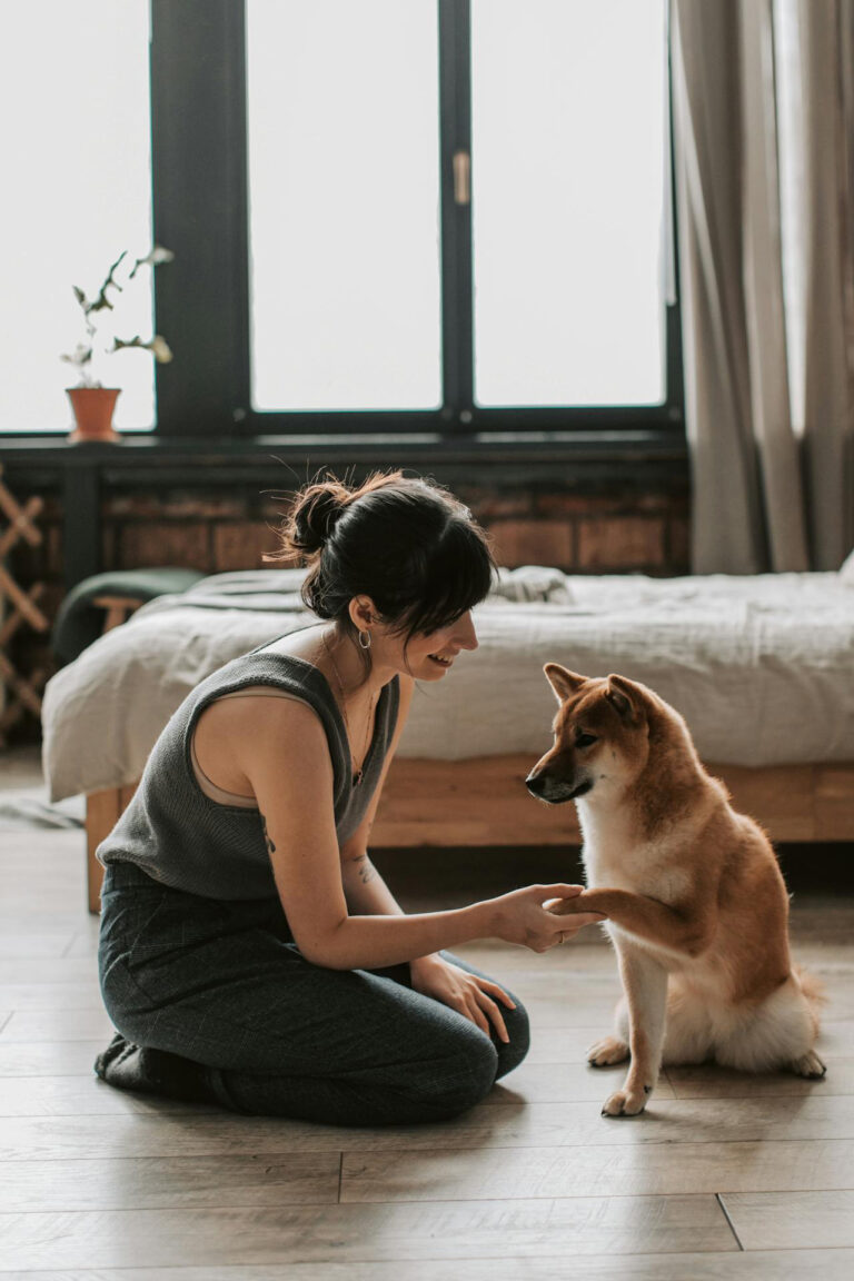 Five Ways to Practice Mindfulness in Dog Training